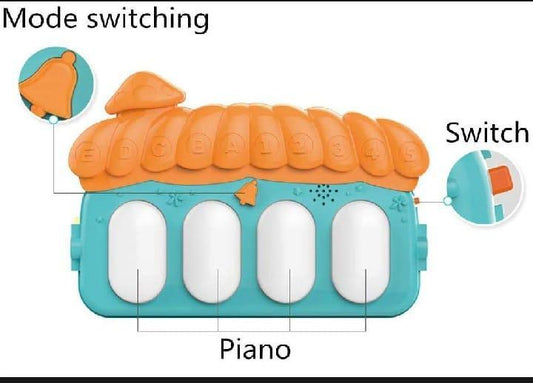 Double Sided Multicolor Play Mat for Toddlers